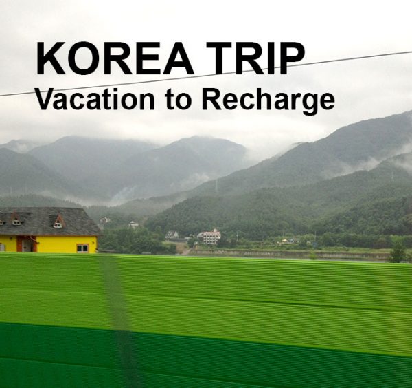 Korea Travel Hungry Gopher