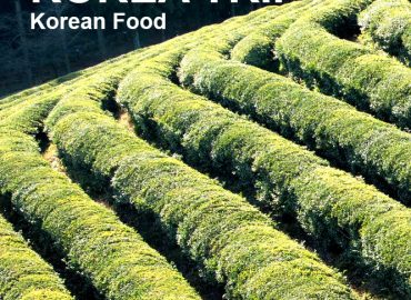 Korea Travel EP6 – Matcha Tea field & Bamboo forest-Jeolla province Korea