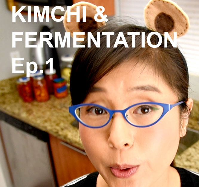 Probiotic foods EP1 – Kimchi Making and Fermentation